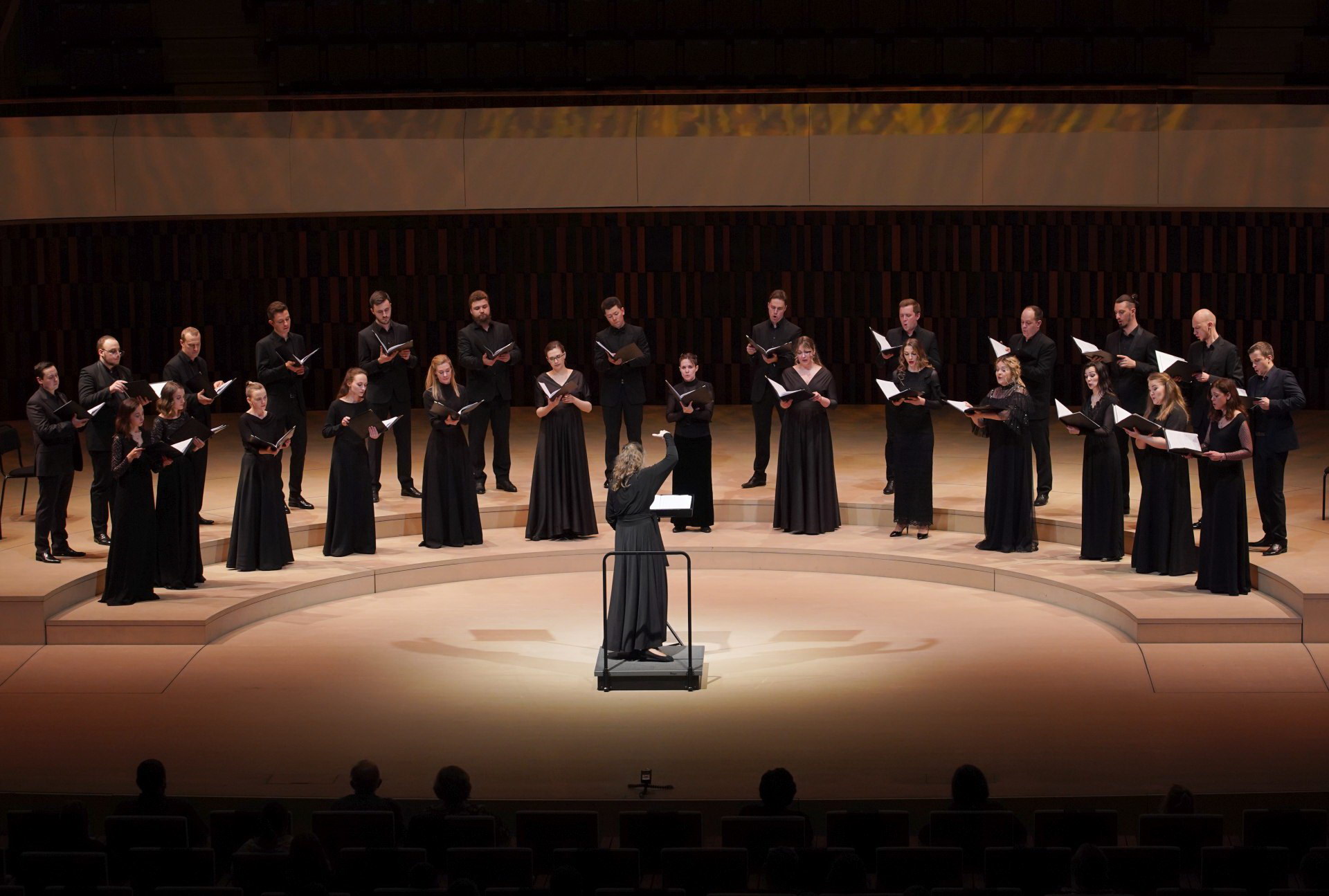 Ансамбль Intrada